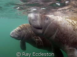 Family Portrait.Camera Nikon D-200 by Ray Eccleston 